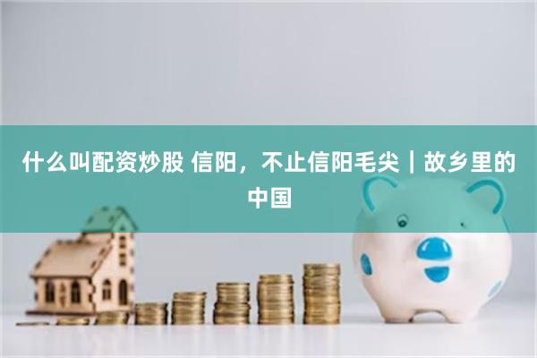 什么叫配资炒股 信阳，不止信阳毛尖｜故乡里的中国