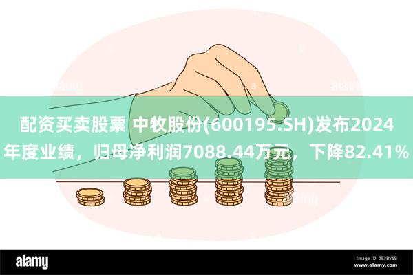 配资买卖股票 中牧股份(600195.SH)发布2024年度业绩，归母净利润7088.44万元，下降82.41%