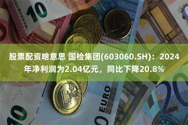 股票配资啥意思 国检集团(603060.SH)：2024年净利润为2.04亿元，同比下降20.8%