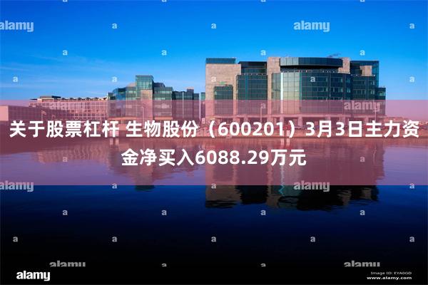 关于股票杠杆 生物股份（600201）3月3日主力资金净买入6088.29万元
