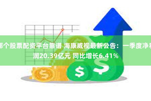 哪个股票配资平台靠谱 海康威视最新公告：一季度净利润20.39亿元 同比增长6.41%