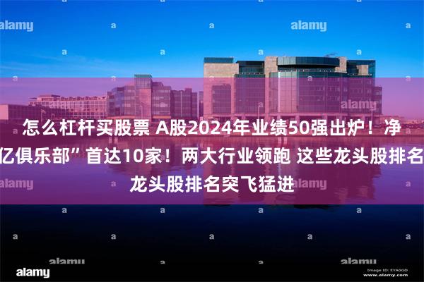 怎么杠杆买股票 A股2024年业绩50强出炉！净利润“千亿俱乐部”首达10家！两大行业领跑 这些龙头股排名突飞猛进