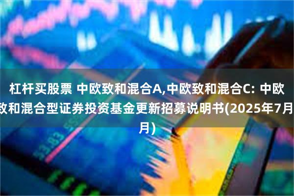 杠杆买股票 中欧致和混合A,中欧致和混合C: 中欧致和混合型证券投资基金更新招募说明书(2025年7月)