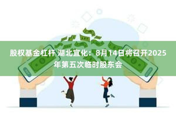 股权基金杠杆 湖北宜化：8月14日将召开2025年第五次临时股东会