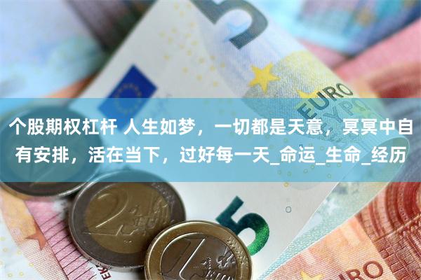 个股期权杠杆 人生如梦，一切都是天意，冥冥中自有安排，活在当下，过好每一天_命运_生命_经历