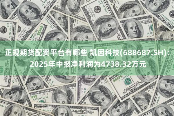 正规期货配资平台有哪些 凯因科技(688687.SH): 2025年中报净利润为4738.32万元