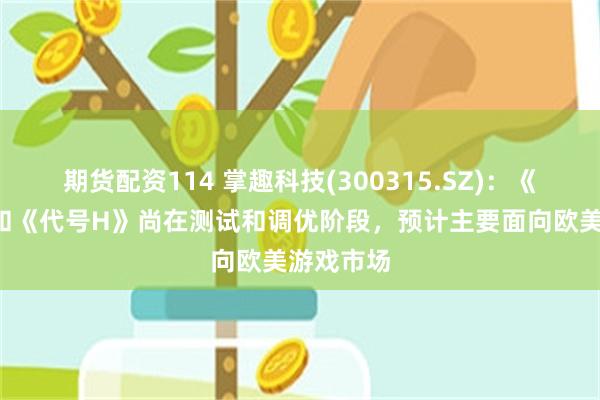 期货配资114 掌趣科技(300315.SZ)：《代号S》和《代号H》尚在测试和调优阶段，预计主要面向欧美游戏市场