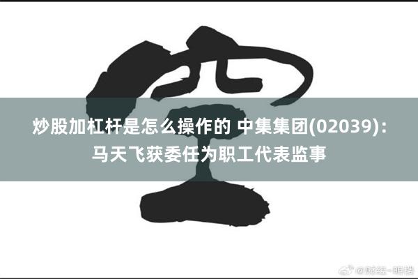 炒股加杠杆是怎么操作的 中集集团(02039)：马天飞获委任为职工代表监事