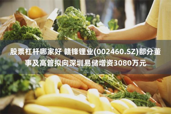 股票杠杆哪家好 赣锋锂业(002460.SZ)部分董事及高管拟向深圳易储增资3080万元