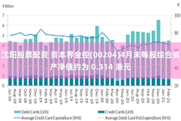 沈阳股票配资 资本界金控(00204)4月末每股综合资产净值约为 0.314 港元