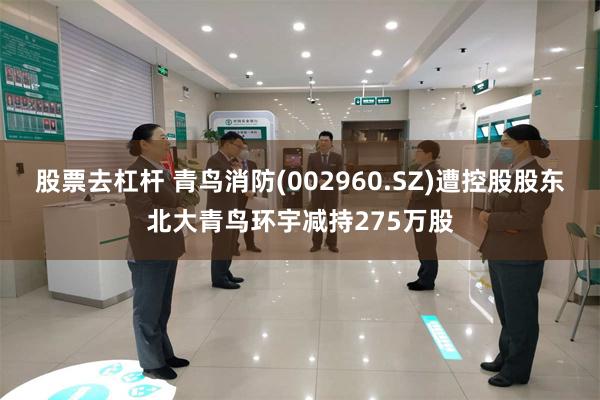 股票去杠杆 青鸟消防(002960.SZ)遭控股股东北大青鸟环宇减持275万股