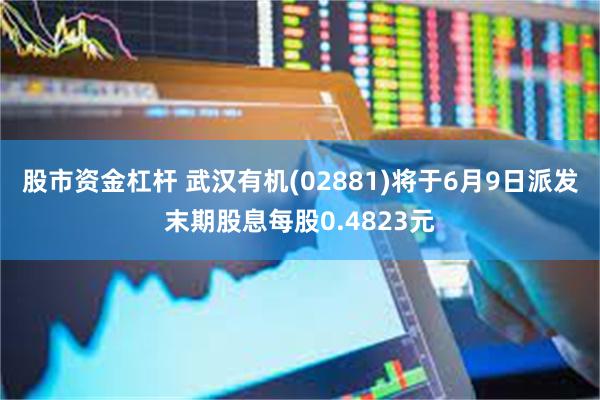 股市资金杠杆 武汉有机(02881)将于6月9日派发末期股息每股0.4823元