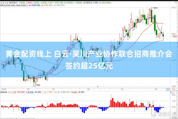 黄金配资线上 白云·吴川产业协作联合招商推介会签约超25亿元
