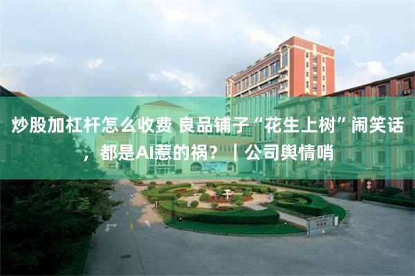 炒股加杠杆怎么收费 良品铺子“花生上树”闹笑话，都是AI惹的祸？｜公司舆情哨