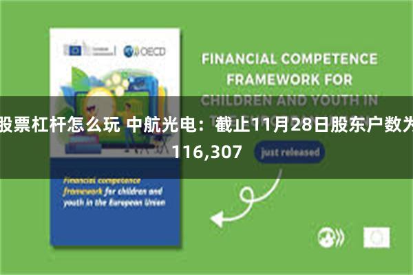 股票杠杆怎么玩 中航光电：截止11月28日股东户数为116,307