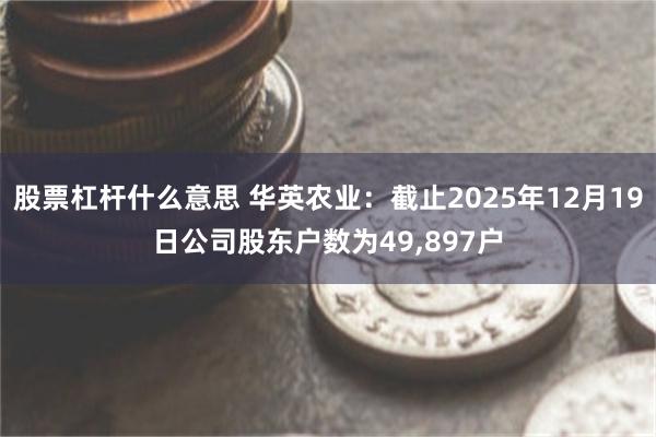 股票杠杆什么意思 华英农业:截止2025年12月19日公司股东户数为49,897户