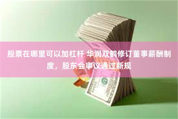 股票在哪里可以加杠杆 华润双鹤修订董事薪酬制度，股东会审议通过新规