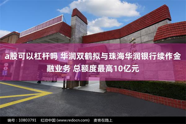 a股可以杠杆吗 华润双鹤拟与珠海华润银行续作金融业务 总额度最高10亿元