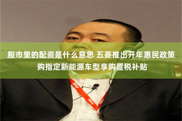 股市里的配资是什么意思 五菱推出开年惠民政策 购指定新能源车型享购置税补贴