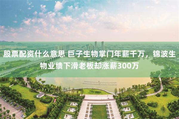 股票配资什么意思 巨子生物掌门年薪千万,锦波生物业绩下滑老板却涨薪300万