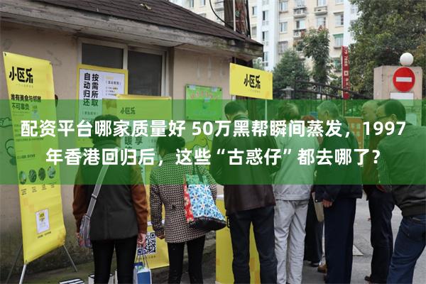 配资平台哪家质量好 50万黑帮瞬间蒸发，1997年香港回归后，这些“古惑仔”都去哪了？