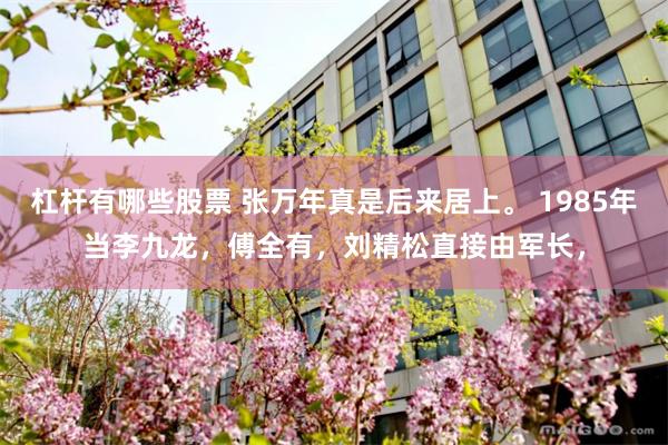 杠杆有哪些股票 张万年真是后来居上。 1985年当李九龙,傅全有,刘精松直接由军长,