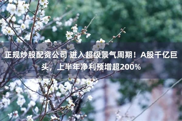 正规炒股配资公司 进入超级景气周期！A股千亿巨头，上半年净利预增超200%
