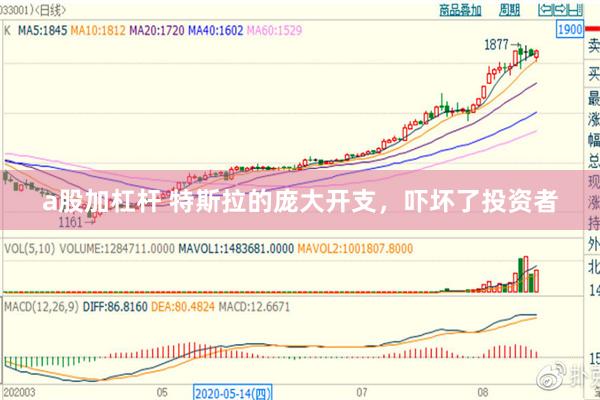 a股加杠杆 特斯拉的庞大开支，吓坏了投资者