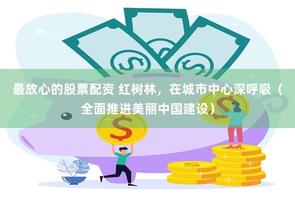 最放心的股票配资 红树林,在城市中心深呼吸(全面推进美丽中国建设)