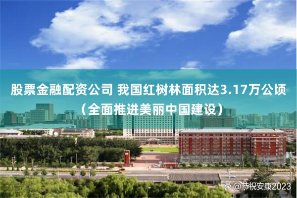 股票金融配资公司 我国红树林面积达3.17万公顷（全面推进美丽中国建设）