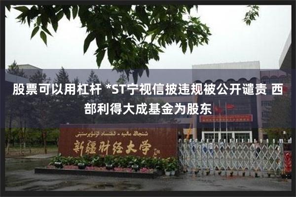 股票可以用杠杆 *ST宁视信披违规被公开谴责 西部利得大成基金为股东