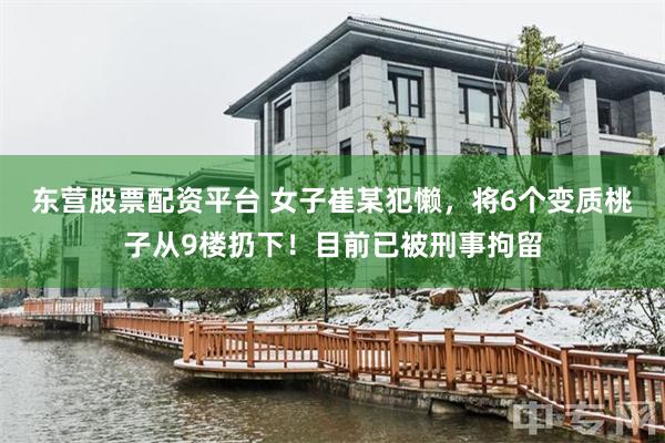 东营股票配资平台 女子崔某犯懒，将6个变质桃子从9楼扔下！目前已被刑事拘留