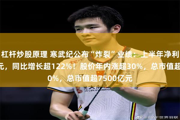 杠杆炒股原理 寒武纪公布“炸裂”业绩：上半年净利润超23亿元，同比增长超122%！股价年内涨超30%，总市值超7500亿元