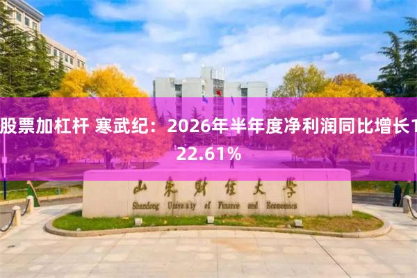 股票加杠杆 寒武纪：2026年半年度净利润同比增长122.61%