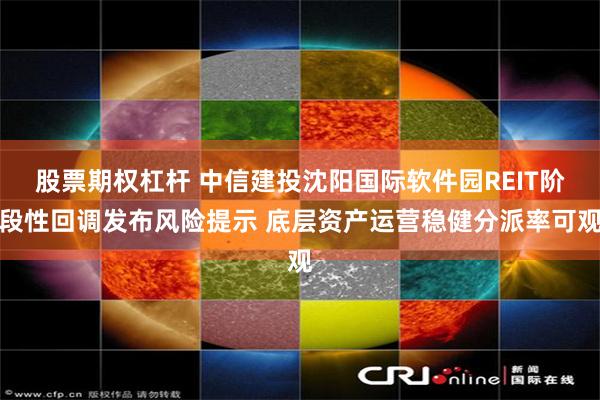 股票期权杠杆 中信建投沈阳国际软件园REIT阶段性回调发布风险提示 底层资产运营稳健分派率可观