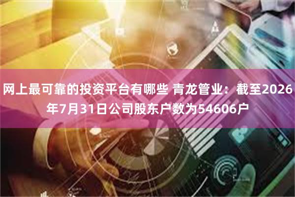 网上最可靠的投资平台有哪些 青龙管业：截至2026年7月31日公司股东户数为54606户