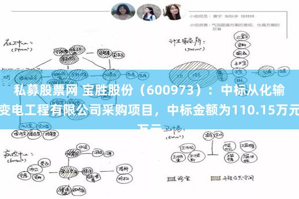 私募股票网 宝胜股份（600973）：中标从化输变电工程有限公司采购项目，中标金额为110.15万元