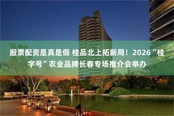 股票配资是真是假 桂品北上拓新局！2026“桂字号”农业品牌长春专场推介会举办