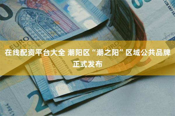 在线配资平台大全 潮阳区“潮之阳”区域公共品牌正式发布