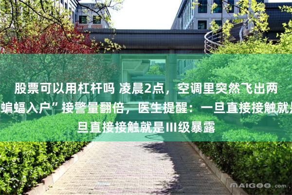 股票可以用杠杆吗 凌晨2点，空调里突然飞出两只蝙蝠！“蝙蝠入户”接警量翻倍，医生提醒：一旦直接接触就是Ⅲ级暴露