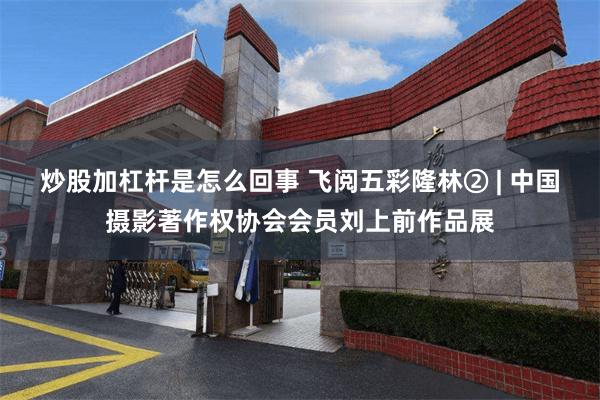 炒股加杠杆是怎么回事 飞阅五彩隆林② | 中国摄影著作权协会会员刘上前作品展