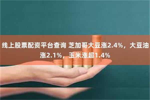 线上股票配资平台查询 芝加哥大豆涨2.4%,大豆油涨2.1%,玉米涨超1.4%