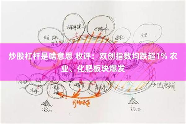 炒股杠杆是啥意思 收评：双创指数均跌超1% 农业、化肥板块爆发