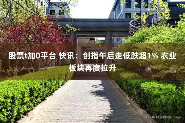 股票t加0平台 快讯：创指午后走低跌超1% 农业板块再度拉升