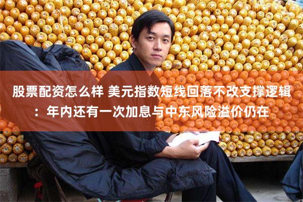 股票配资怎么样 美元指数短线回落不改支撑逻辑：年内还有一次加息与中东风险溢价仍在