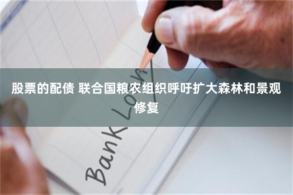 股票的配债 联合国粮农组织呼吁扩大森林和景观修复