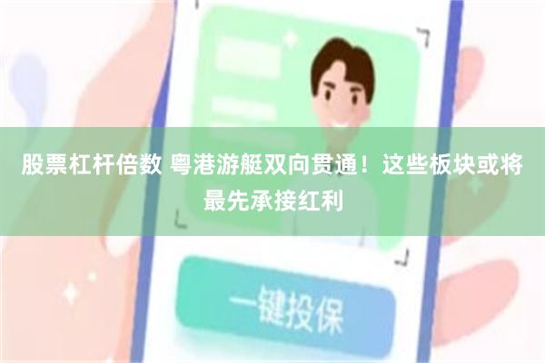 股票杠杆倍数 粤港游艇双向贯通!这些板块或将最先承接红利